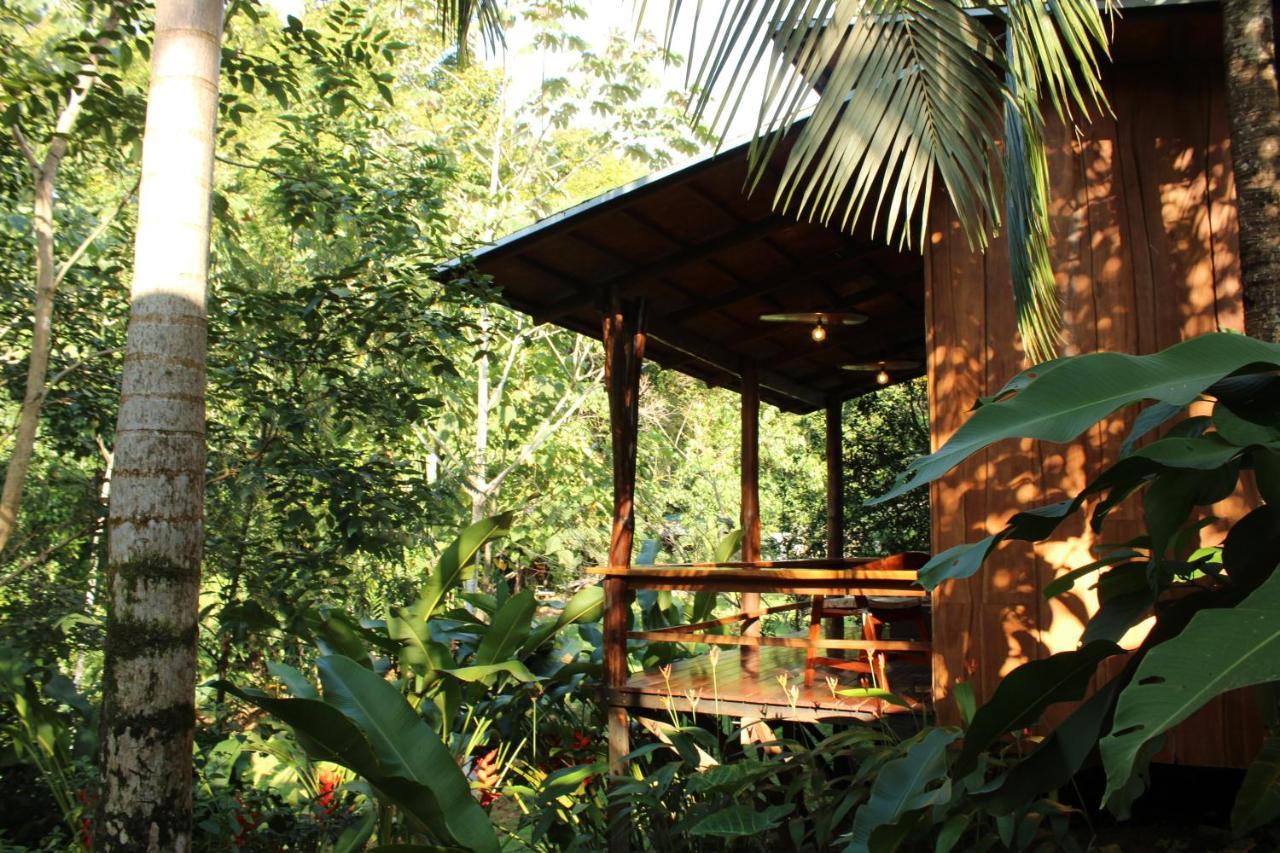 Natural Drake Bay Hotel Boutique Exterior foto